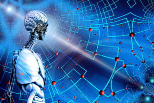 爱游戏登录入口-智能体育装备数据分析应用,体育运动智能